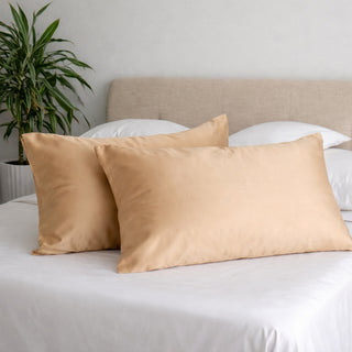 Mulberry Silk Pillowcase